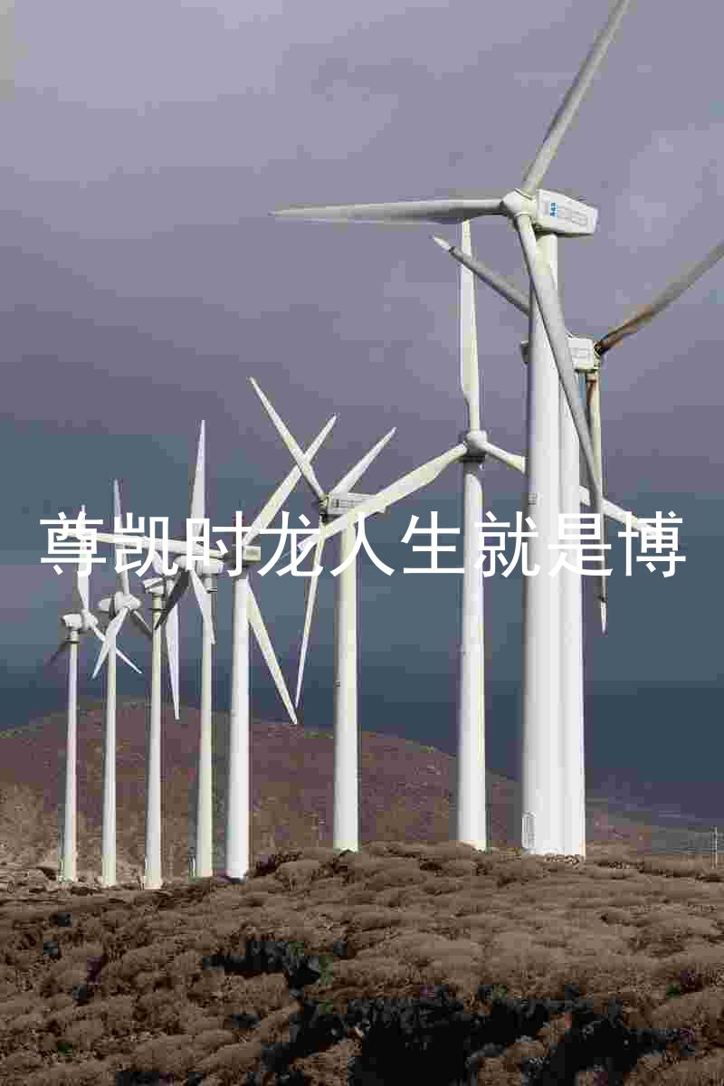 尊凯时龙人生就是博