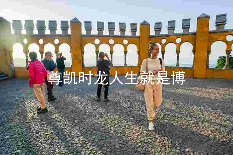 尊凯时龙人生就是博
