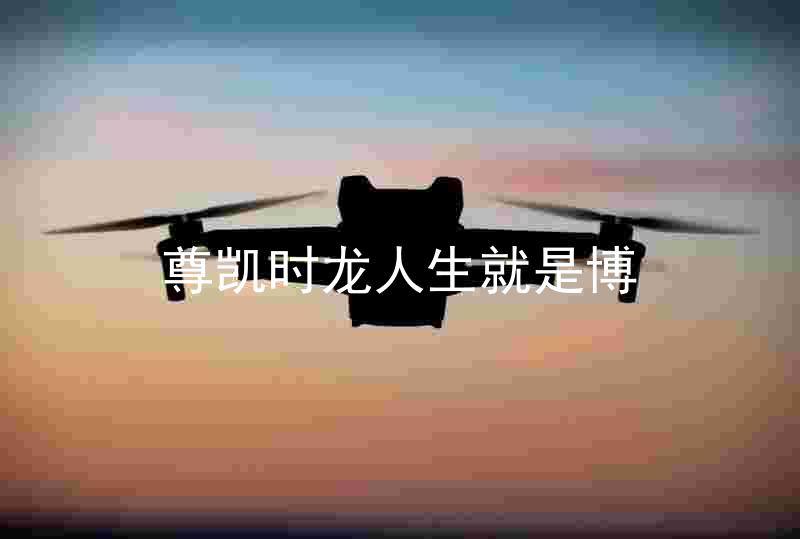 尊凯时龙人生就是博