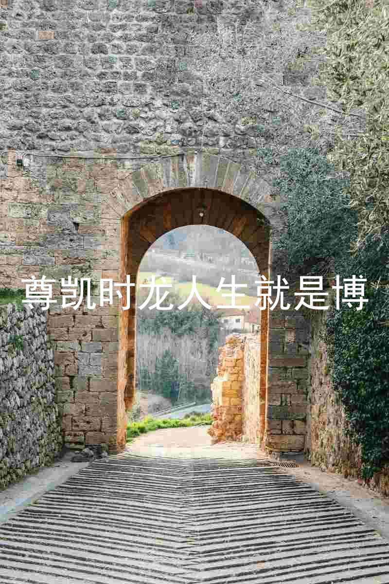 尊凯时龙人生就是博