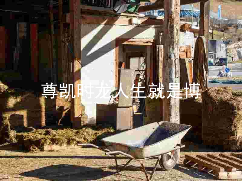 尊凯时龙人生就是博