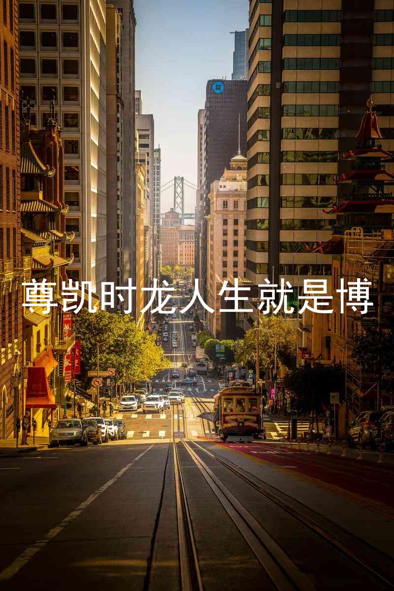 尊凯时龙人生就是博