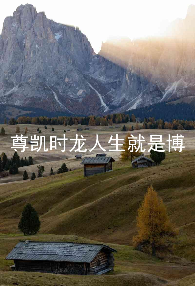 尊凯时龙人生就是博