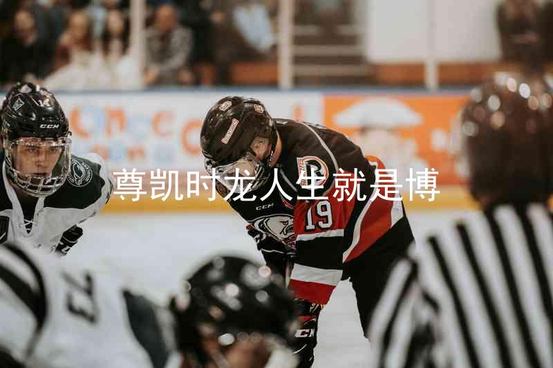 尊凯时龙人生就是博