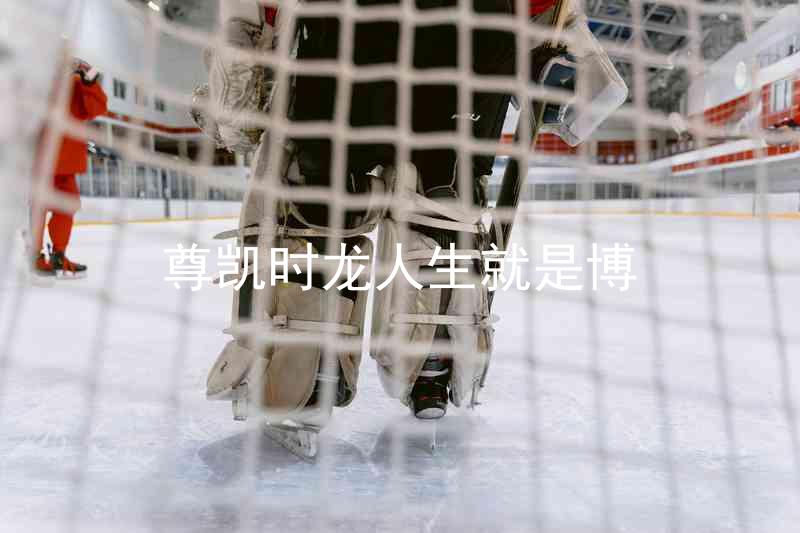 尊凯时龙人生就是博